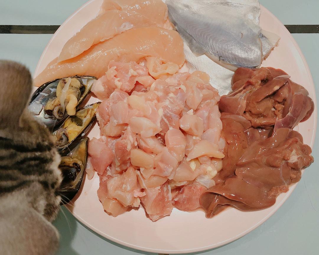 夢の 喵飯