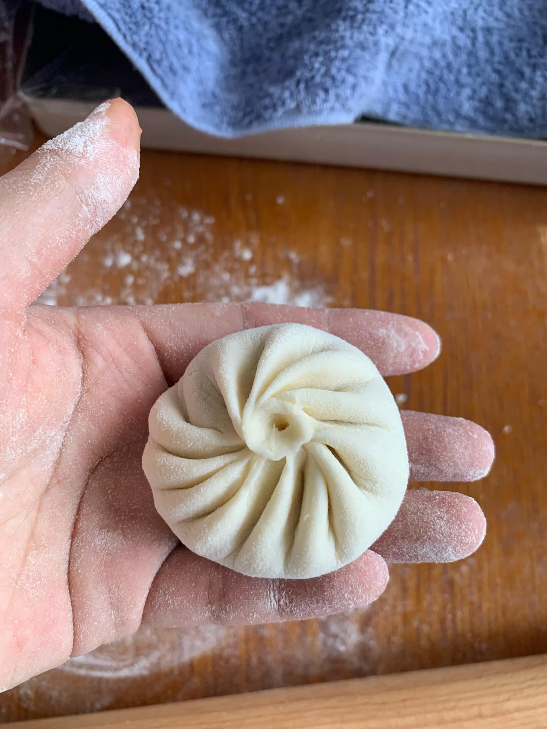 一次发酵肉包子