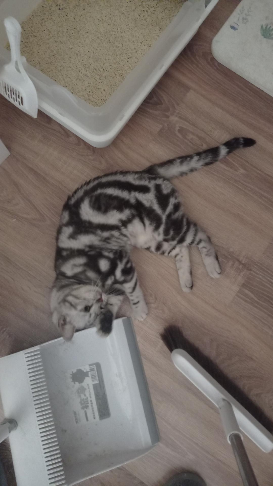 饺子馅