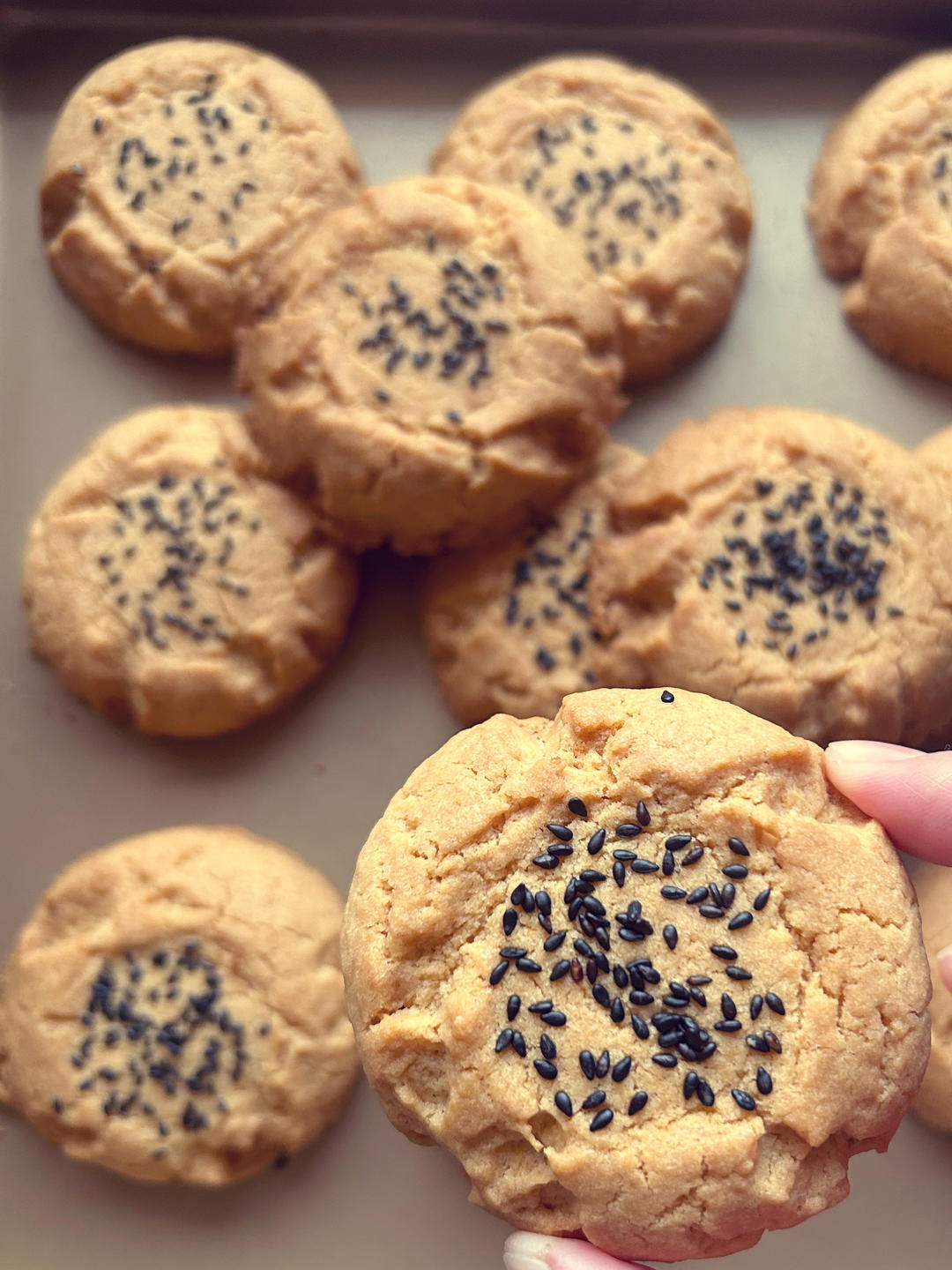 轻轻一按就碎掉的原味桃酥（不输猪油版）