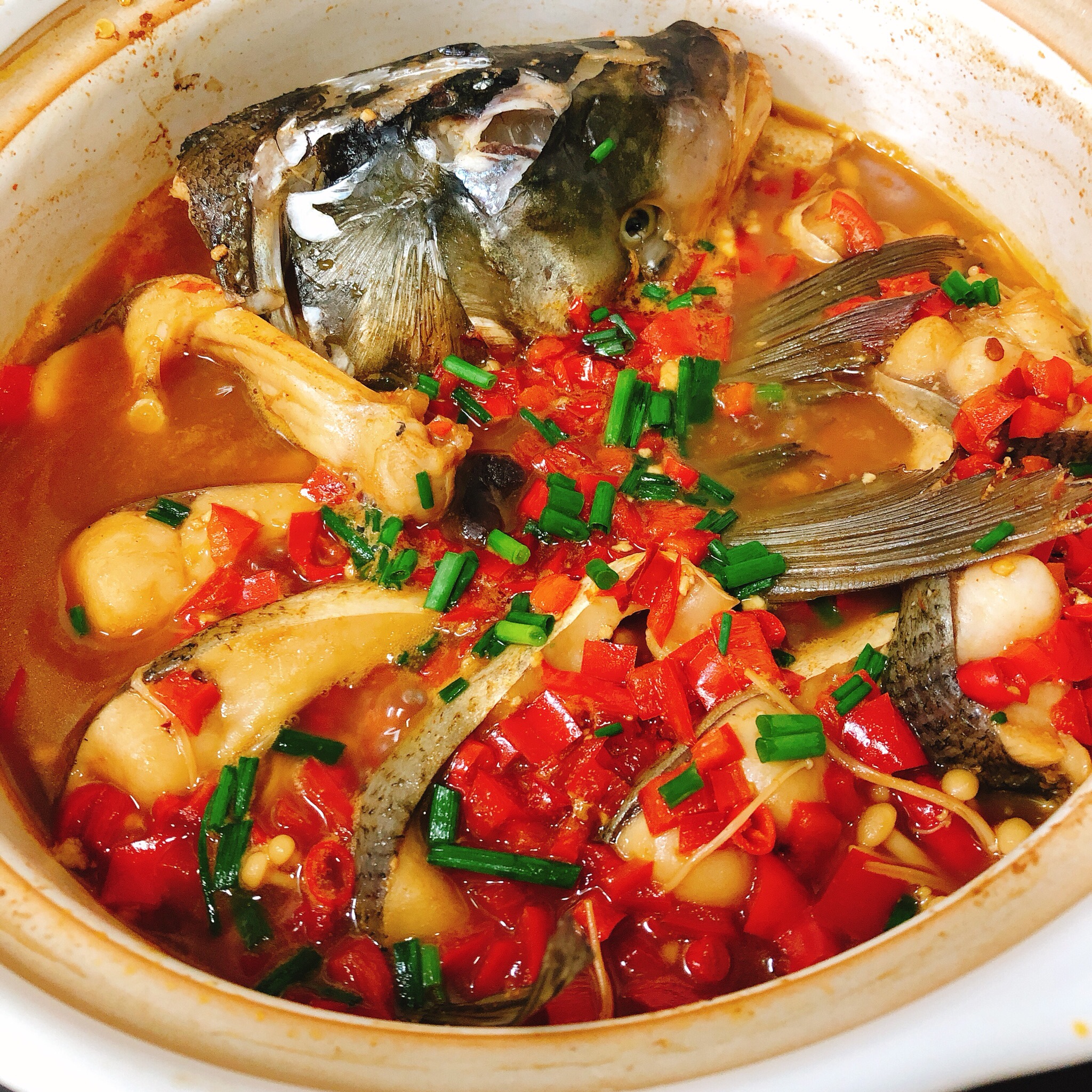 超级入味的砂锅鱼（记得多煮点米饭）的做法