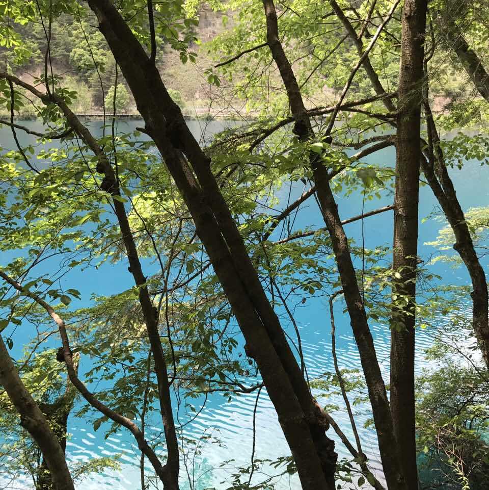 手机用户8099_wqhi