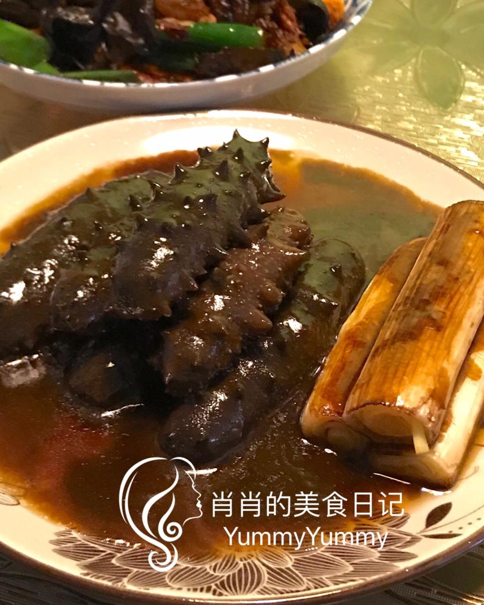 新手发海参零失败