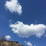 小小小黄蜂