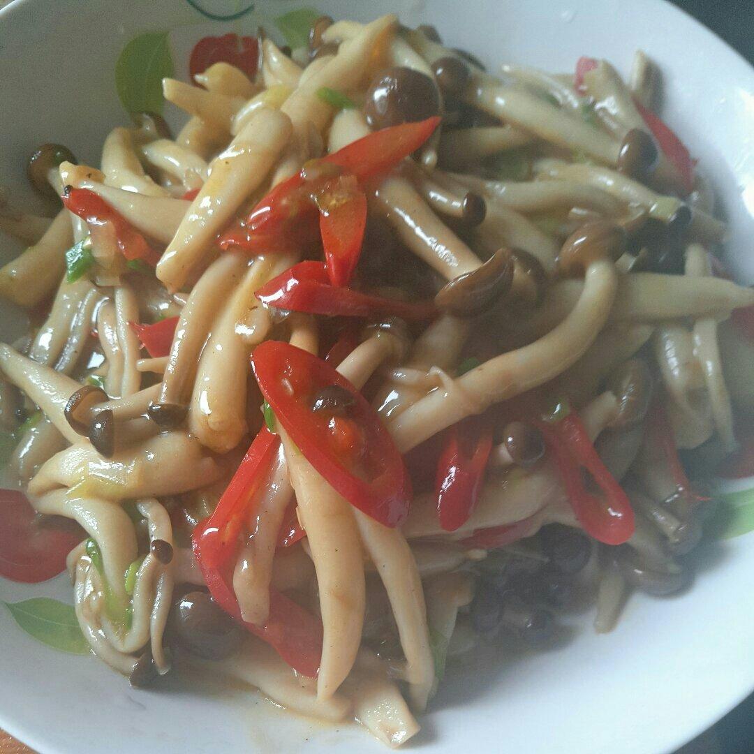 清炒茶树菇