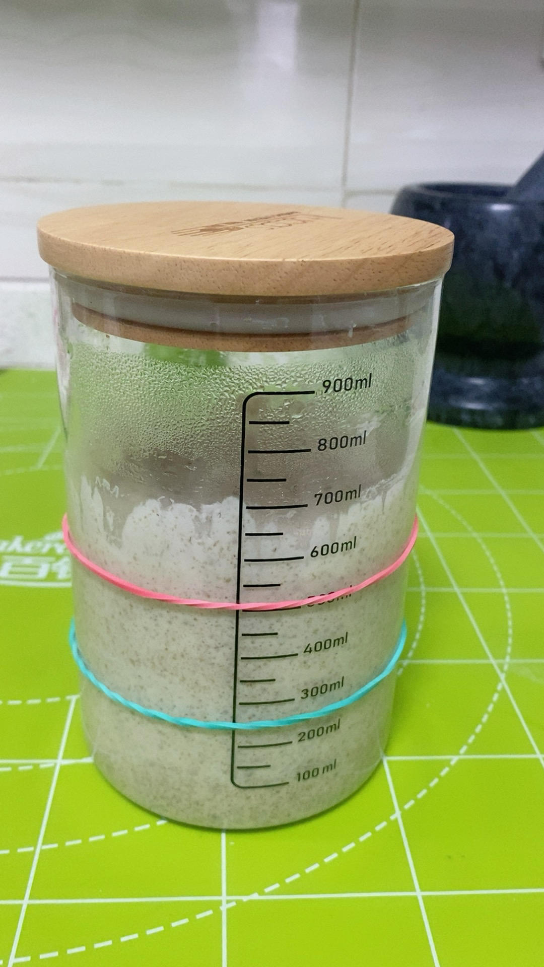 天然酵种、鲁邦种         （黑裸麦起种）