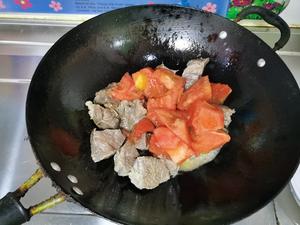 番茄炖牛肉～享受大块牛肉大块番茄的美味😍的做法 步骤8