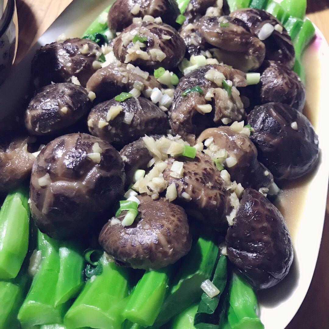 蚝油香菇菜心