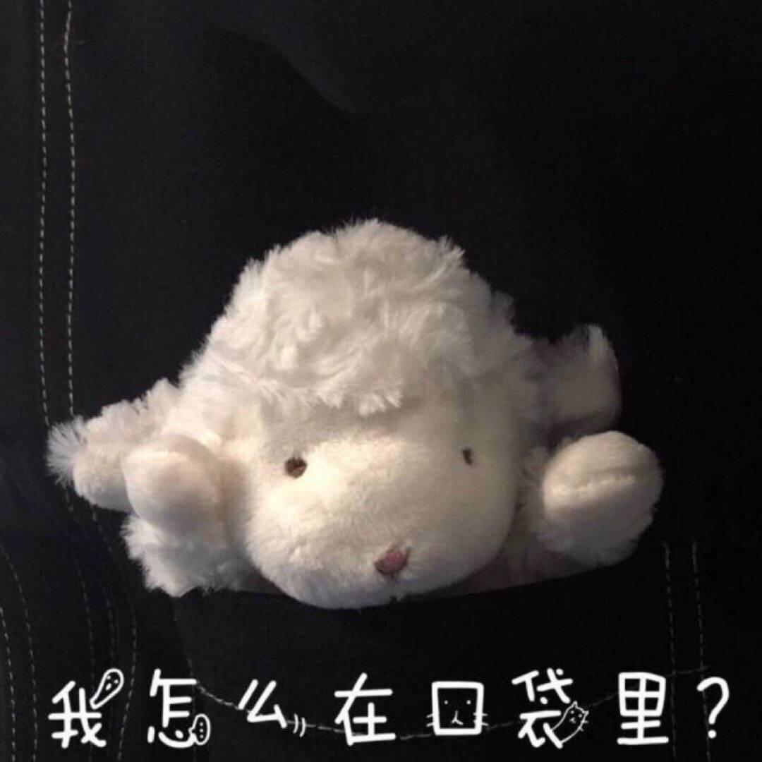 魔卡z