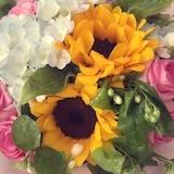 厨房里的月半希