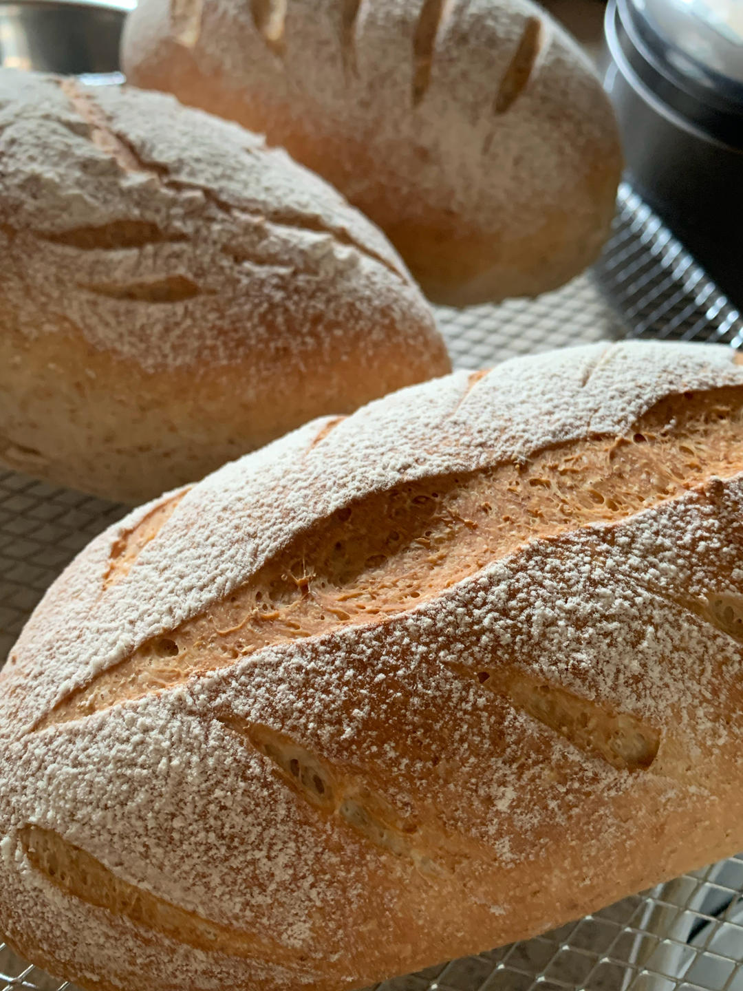 全麦核桃包～软欧包