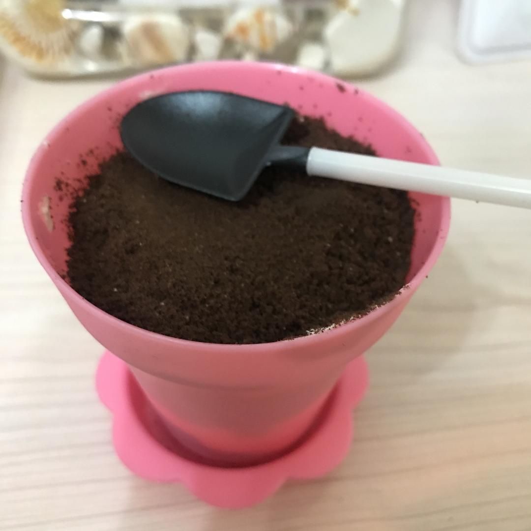木糠杯