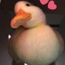 手机用户3717_7vk6