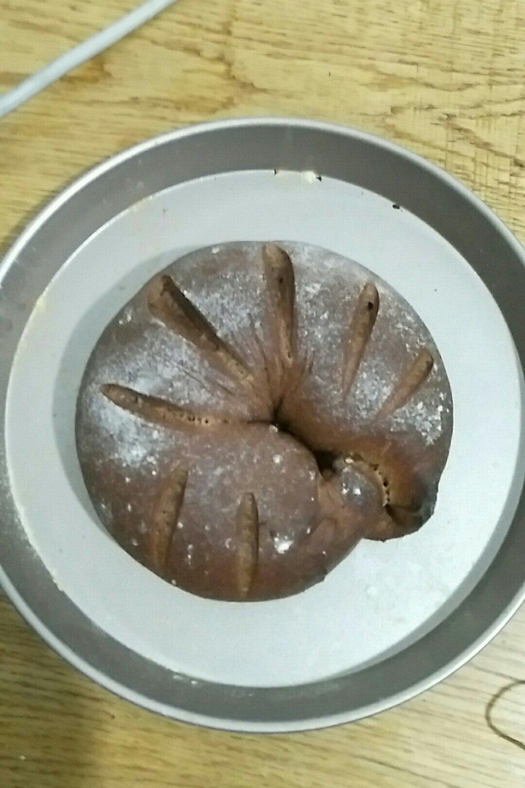 简单黑麦面包（pumpernickel bread)(全麦+黑麦比例高达50%）
