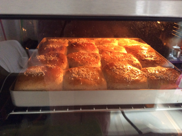 鲜奶油小餐包（一次发酵）