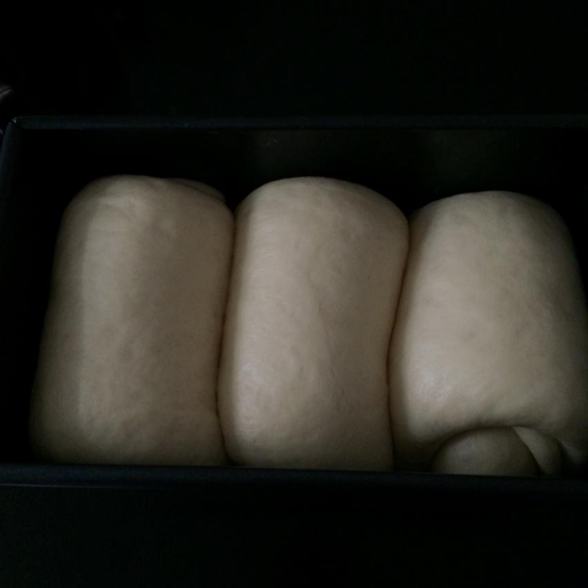 牛奶鸡蛋吐司