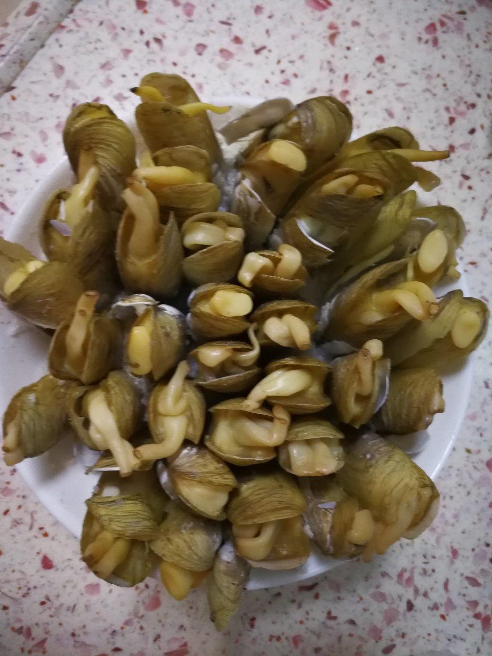 原汁原味的插蛏（蛏子）