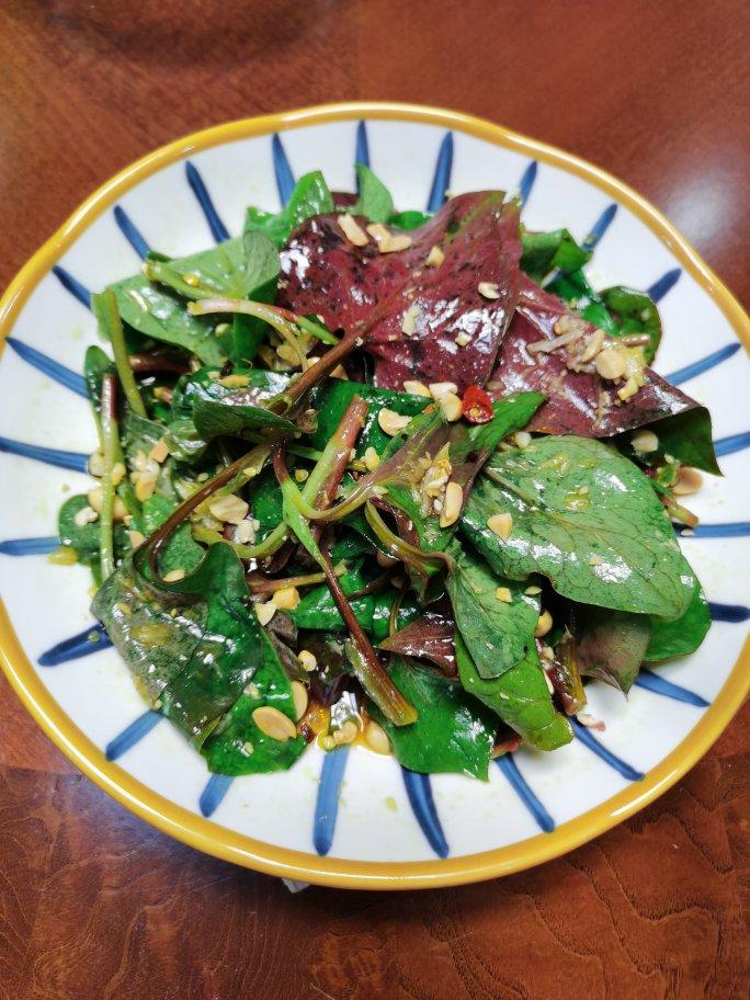 静水流深ci7u做的凉拌鱼腥草