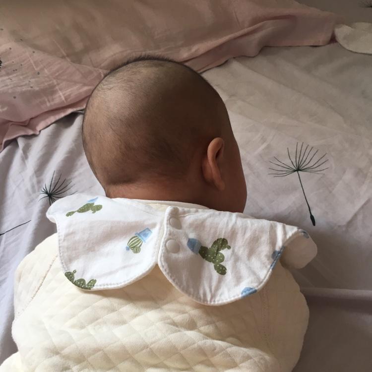 火火兔7