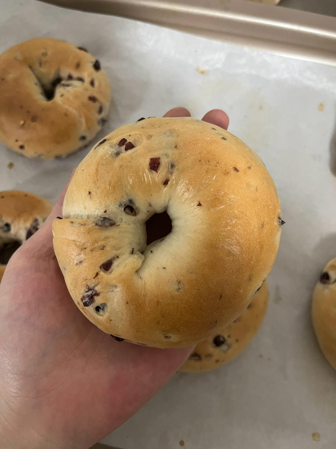 蔓越莓贝果🥯轻松实现贝果自由