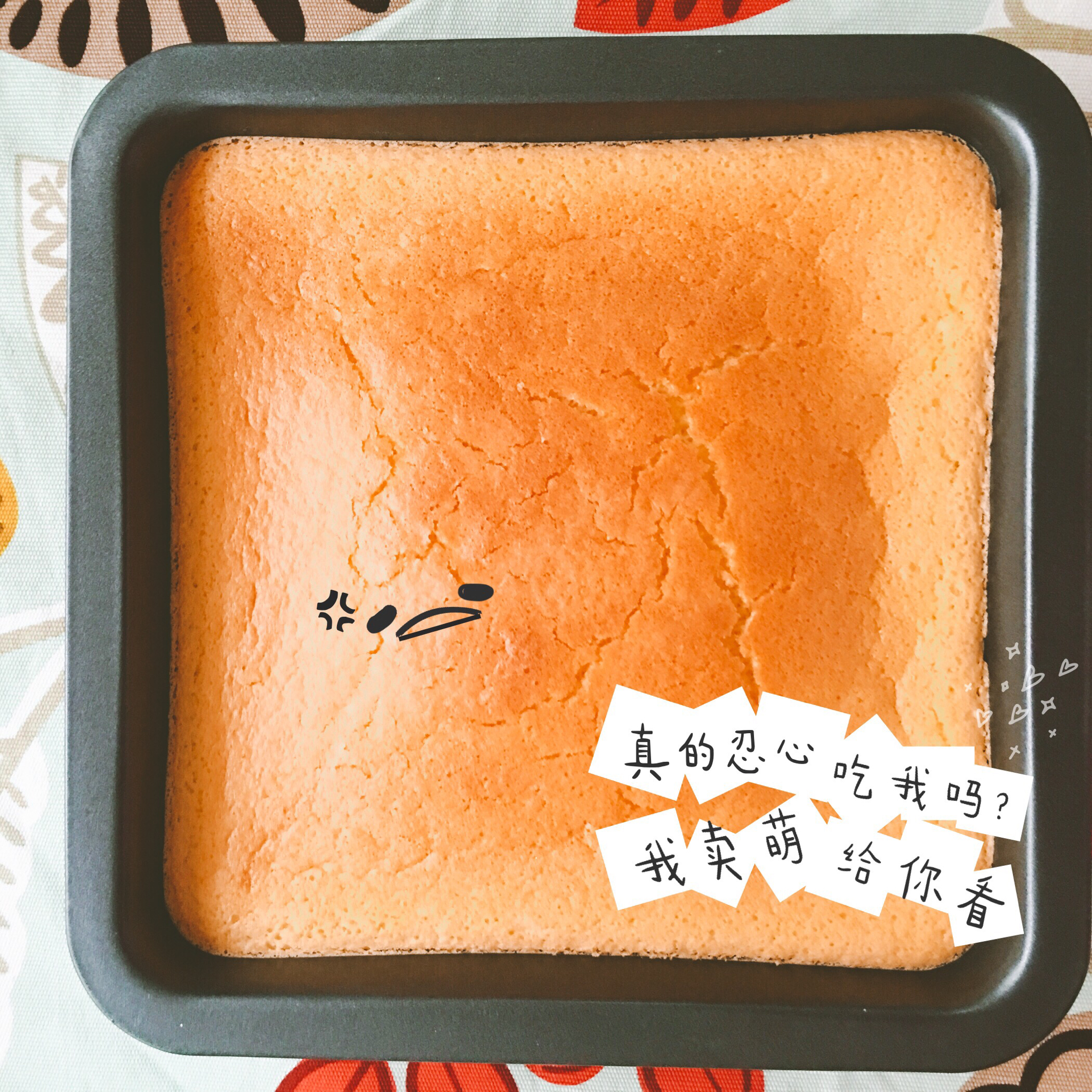 只用淡奶油做的乳酪蛋糕