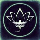 black-lotus