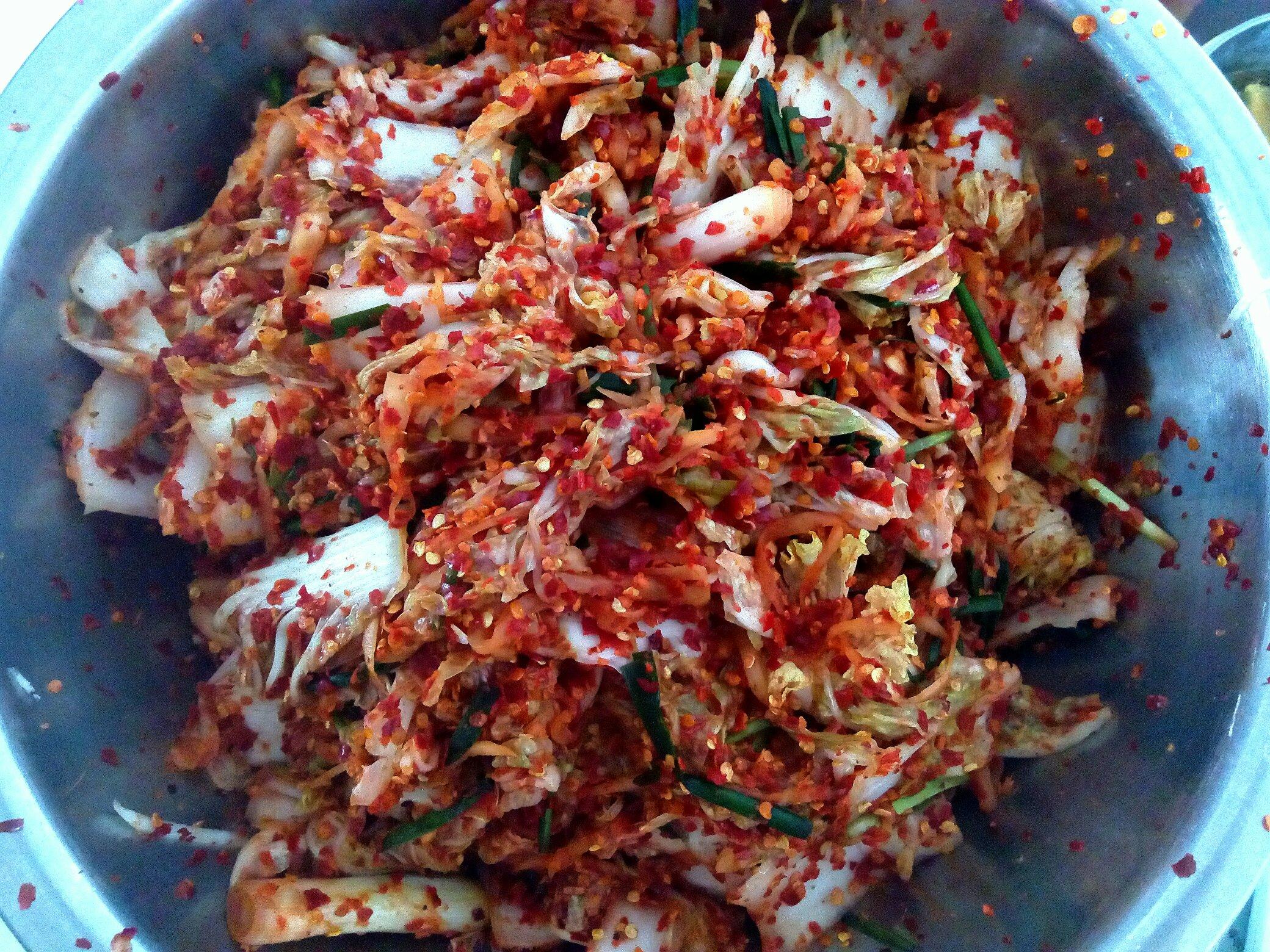 韩国泡菜的做法 步骤26