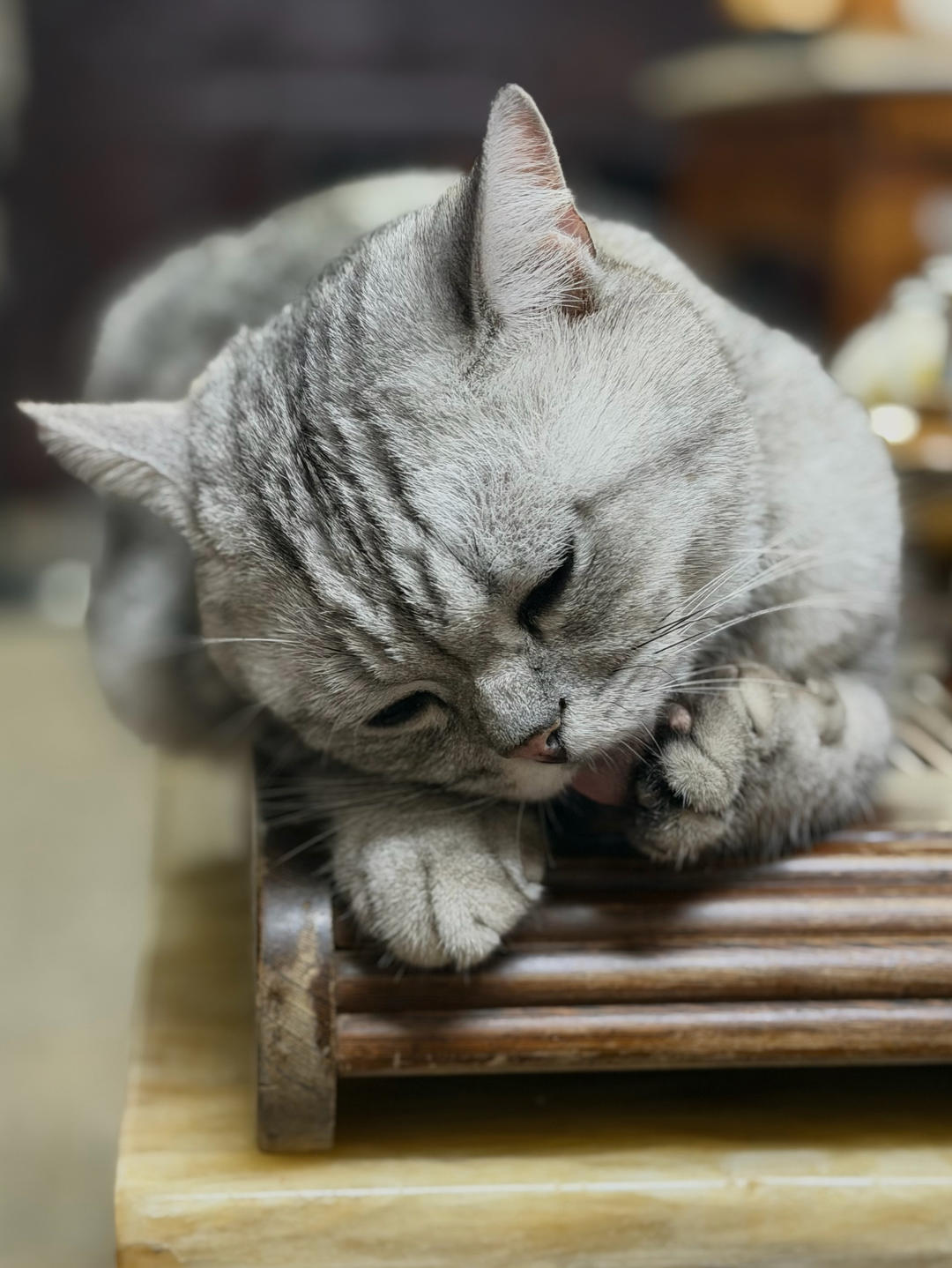 爱吃甜品的二二