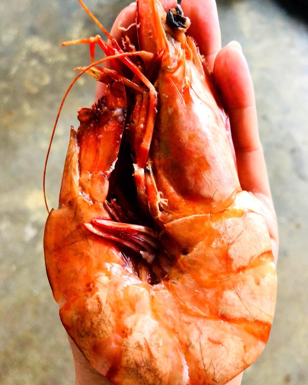 蒜香黄油烤小青龙
