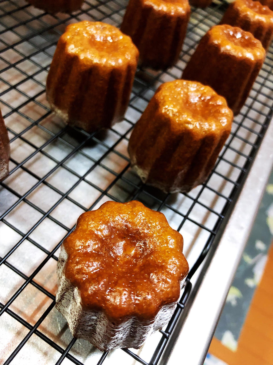 波尔多可露丽（鸳鸯奶茶与抹茶）—便宜钢模无需震面糊