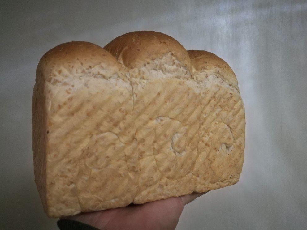 全麦吐司～17小时冷藏中种