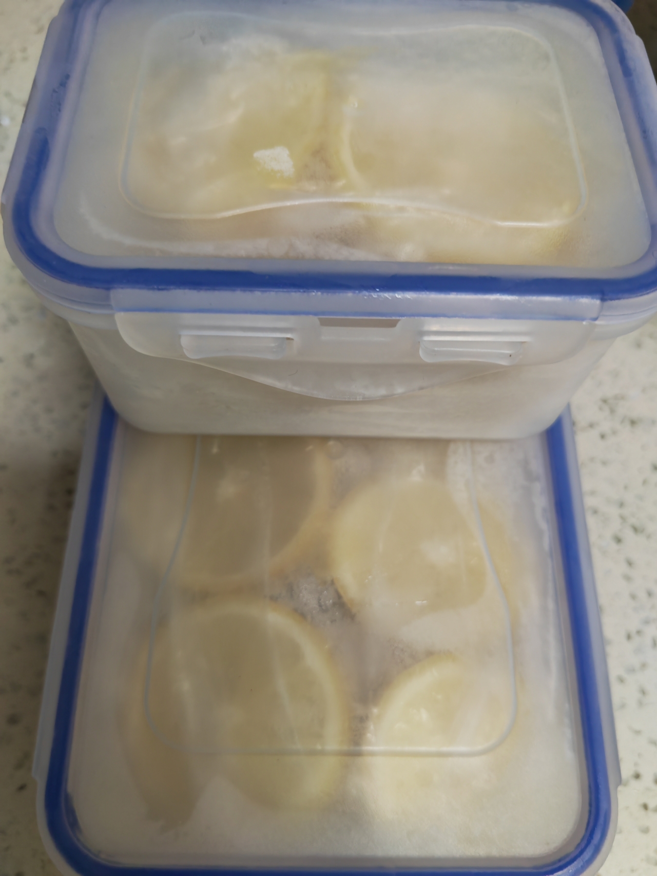 新鲜柠檬片保存（冰箱，不烘干，不榨汁）