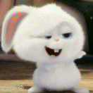 心有一颗芒果子