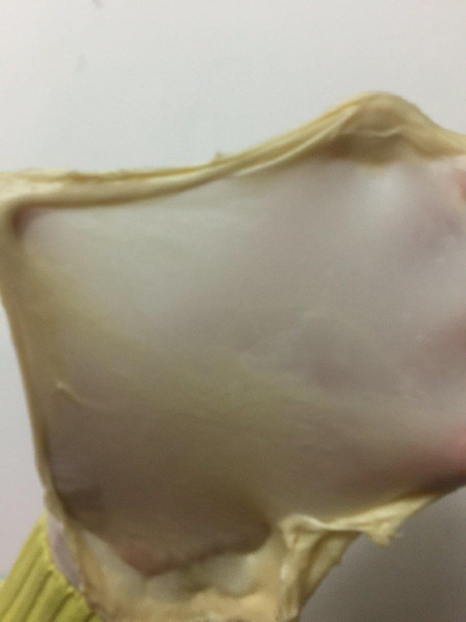面包机都能揉出手套膜（不用剪刀，面包机出膜最详细指导）