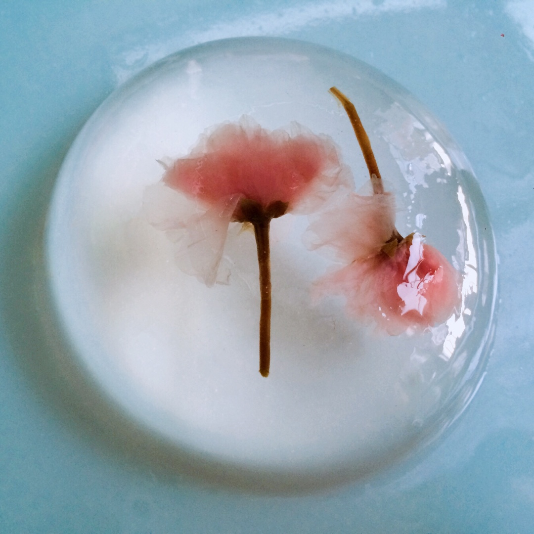 樱花水信玄饼