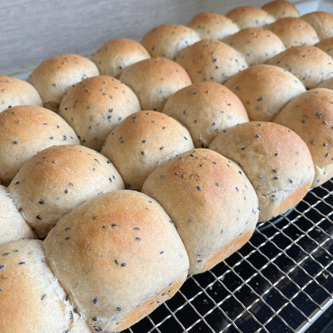 波兰种全麦面包🍞