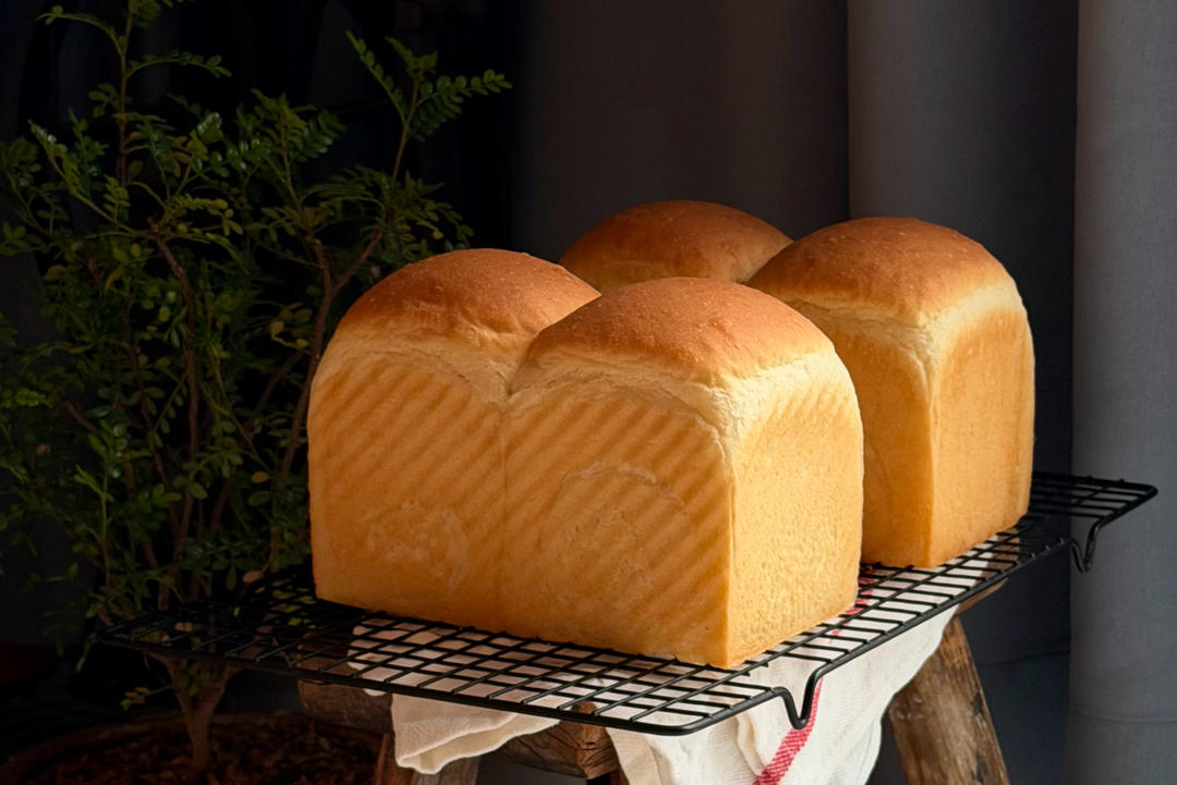 牧场鲜奶吐司🍞｜一次发酵｜吴克己老师经典吐司