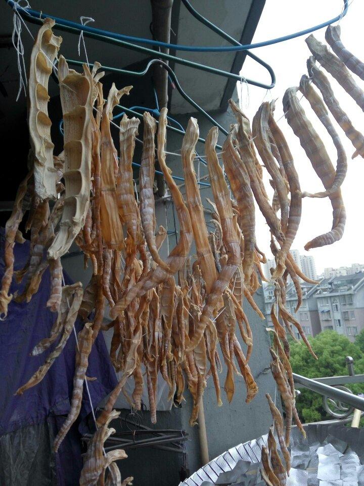 自制笋干