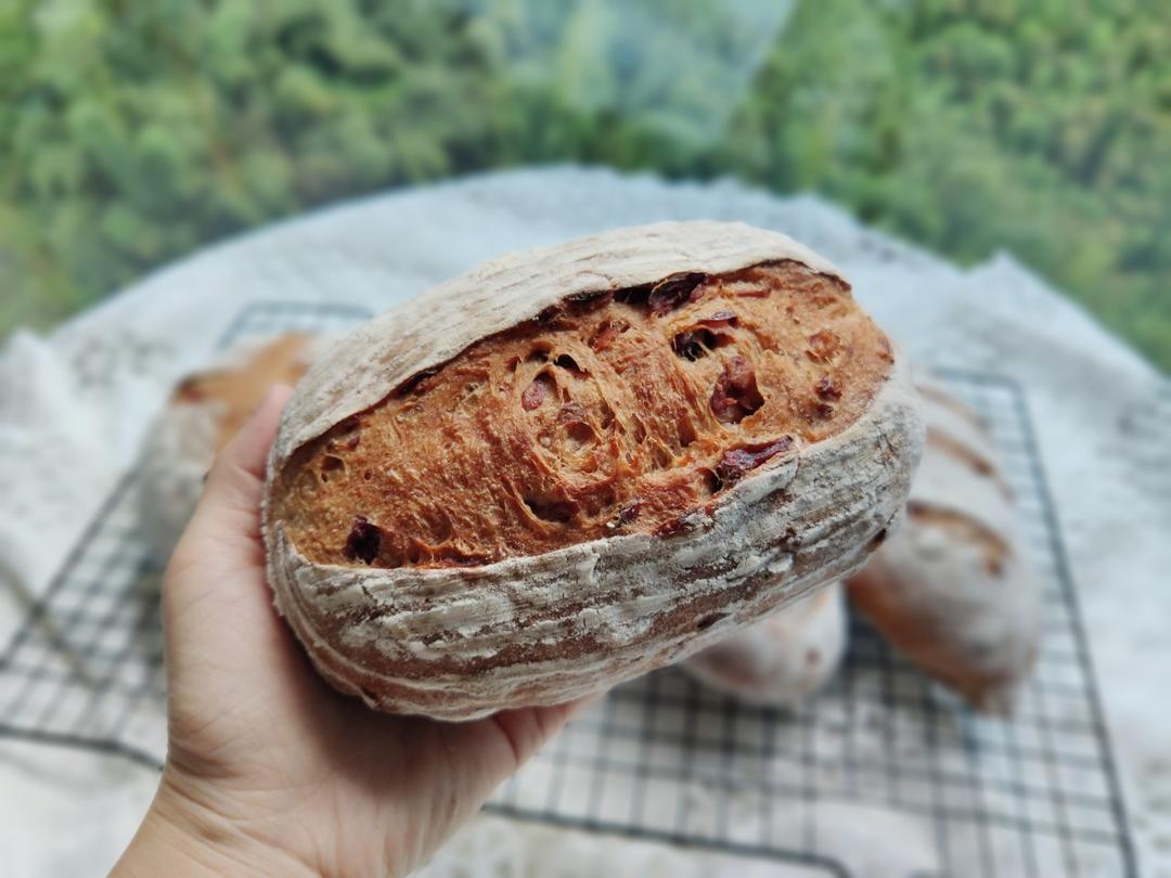 【不藏私食谱：黑麦乡村欧包】不加一颗糖，减脂必备