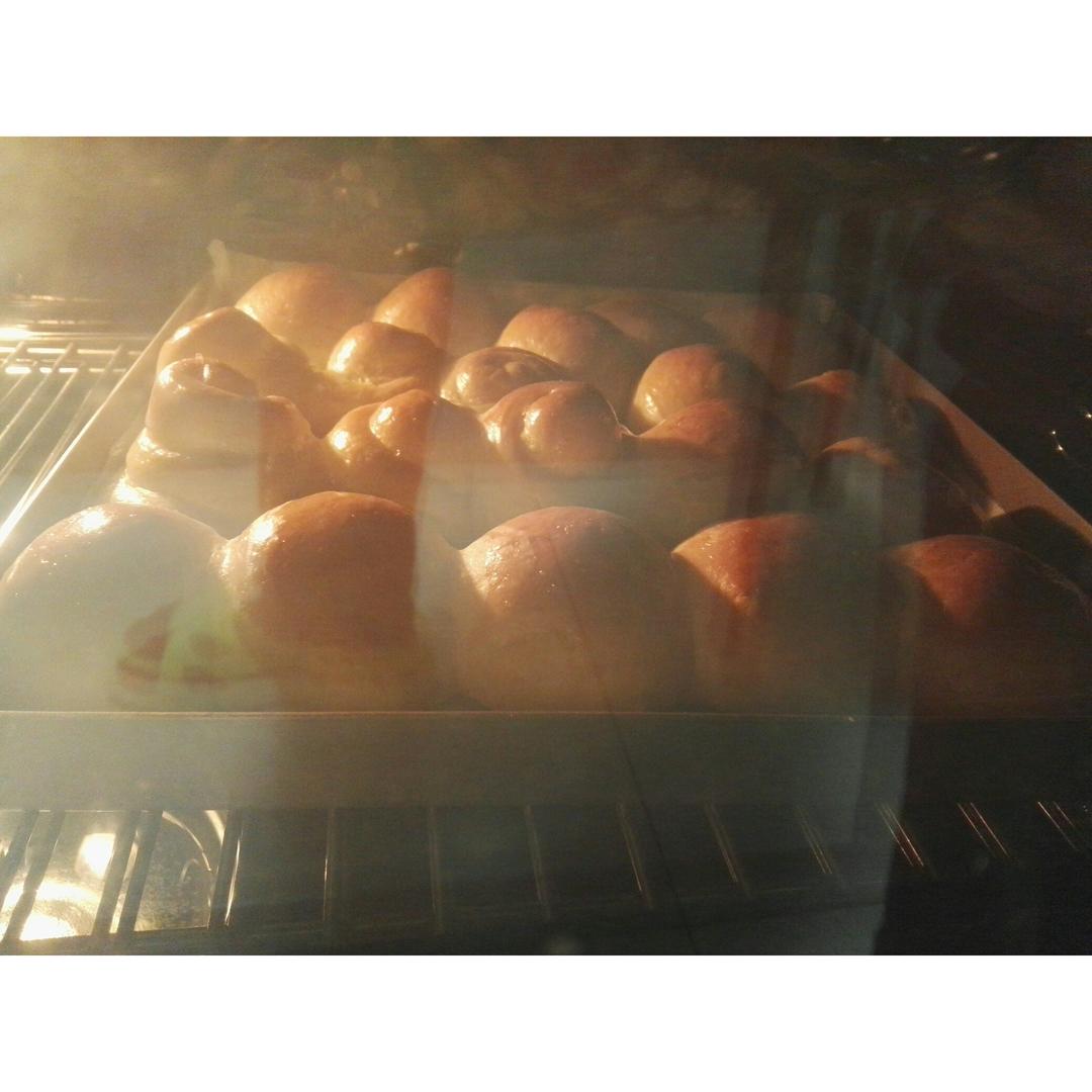 鲜奶油小餐包（一次发酵）