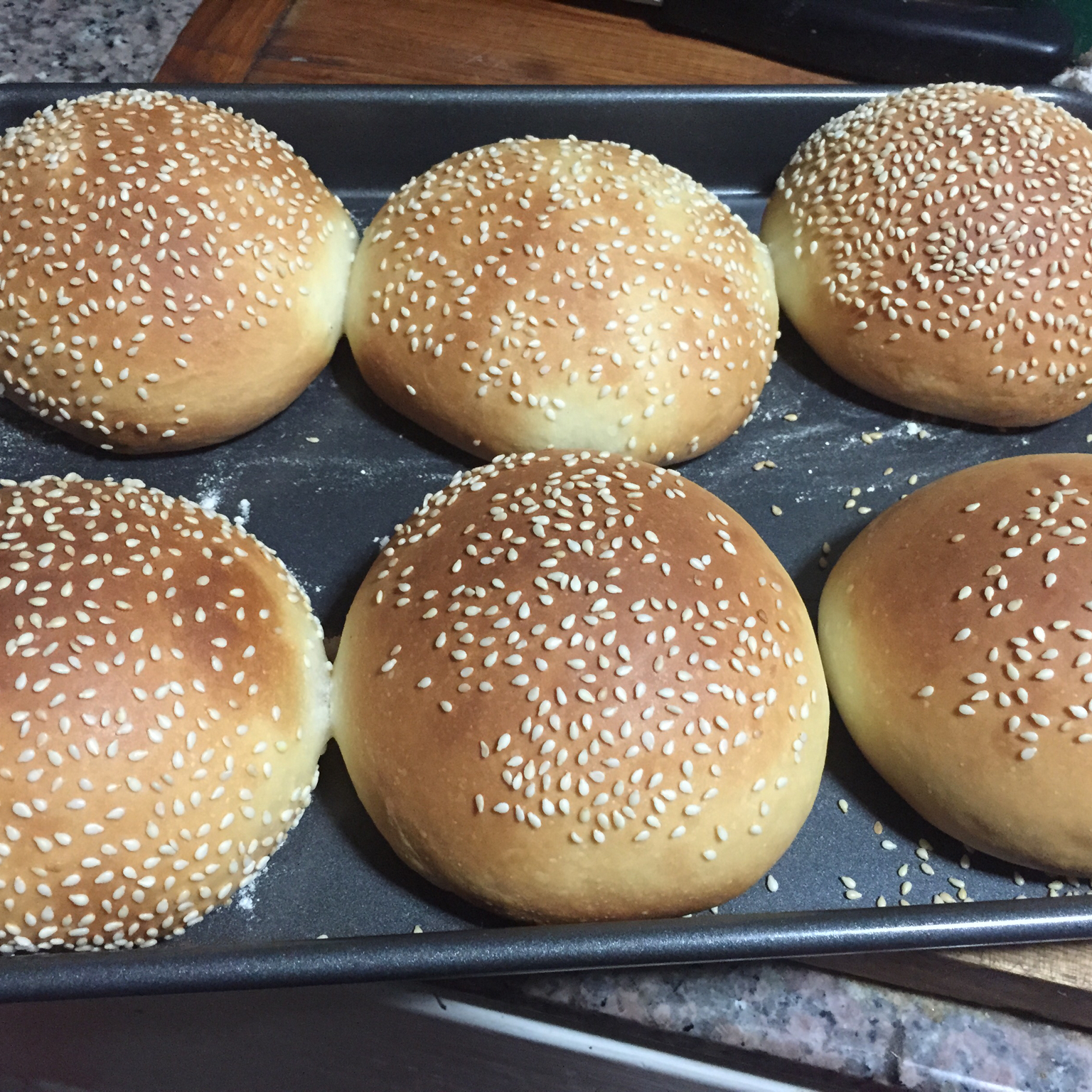 汉堡胚 poolish（波兰种）