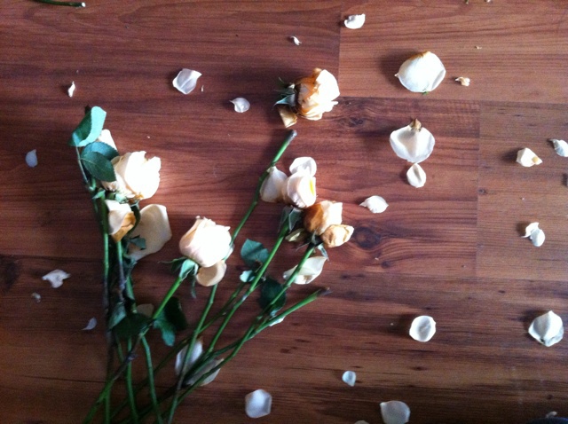 不能下厨房的日子...