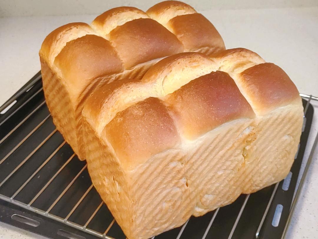 🌟只需一发的软妹子🌟奶香吐司🍞