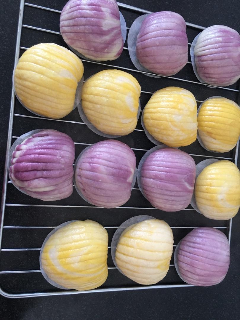 太斑斓贝壳豆沙包