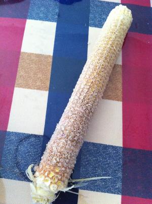 剥鲜玉米粒儿的做法 步骤2