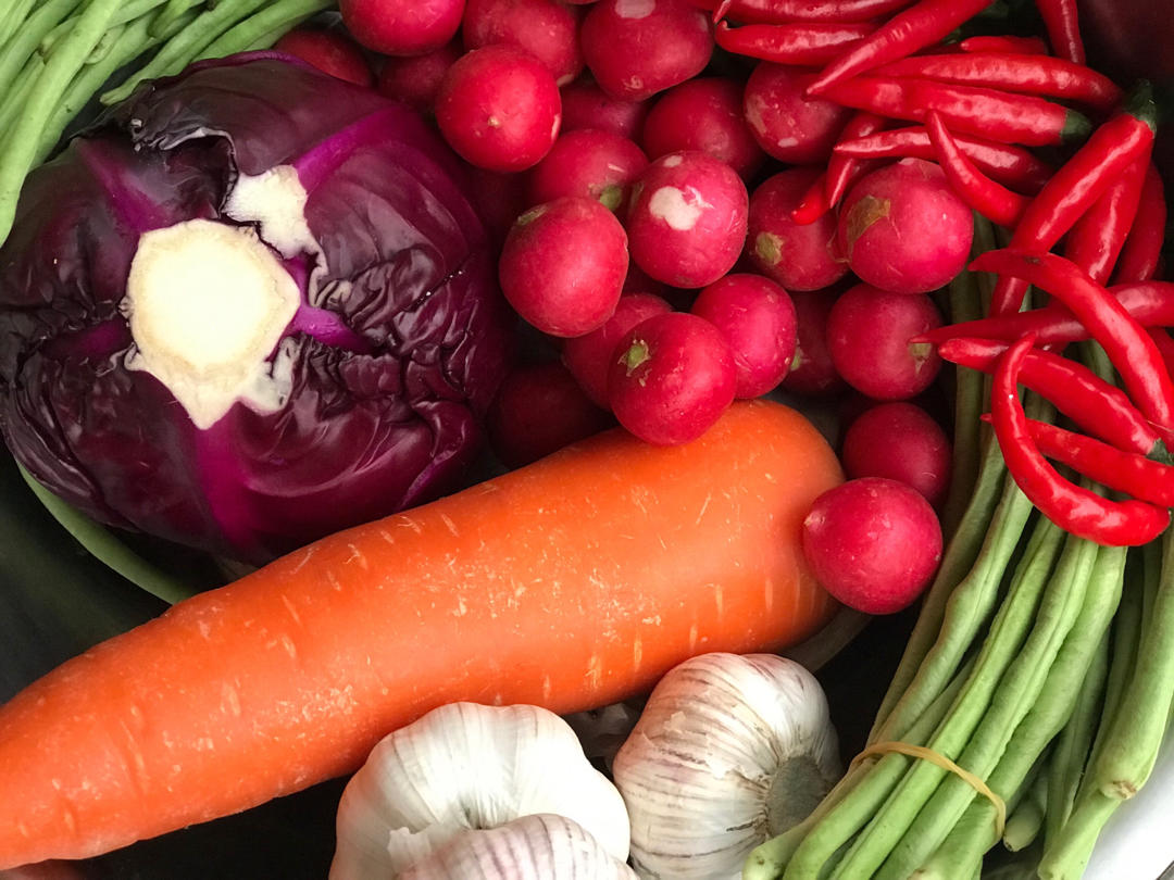 不易坏的四川泡菜（生水版）