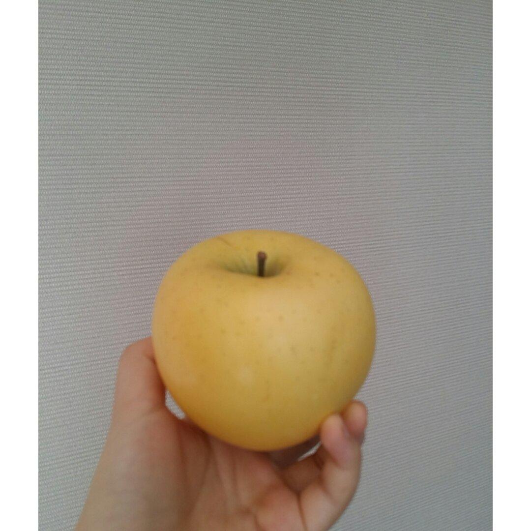 初食霓虹