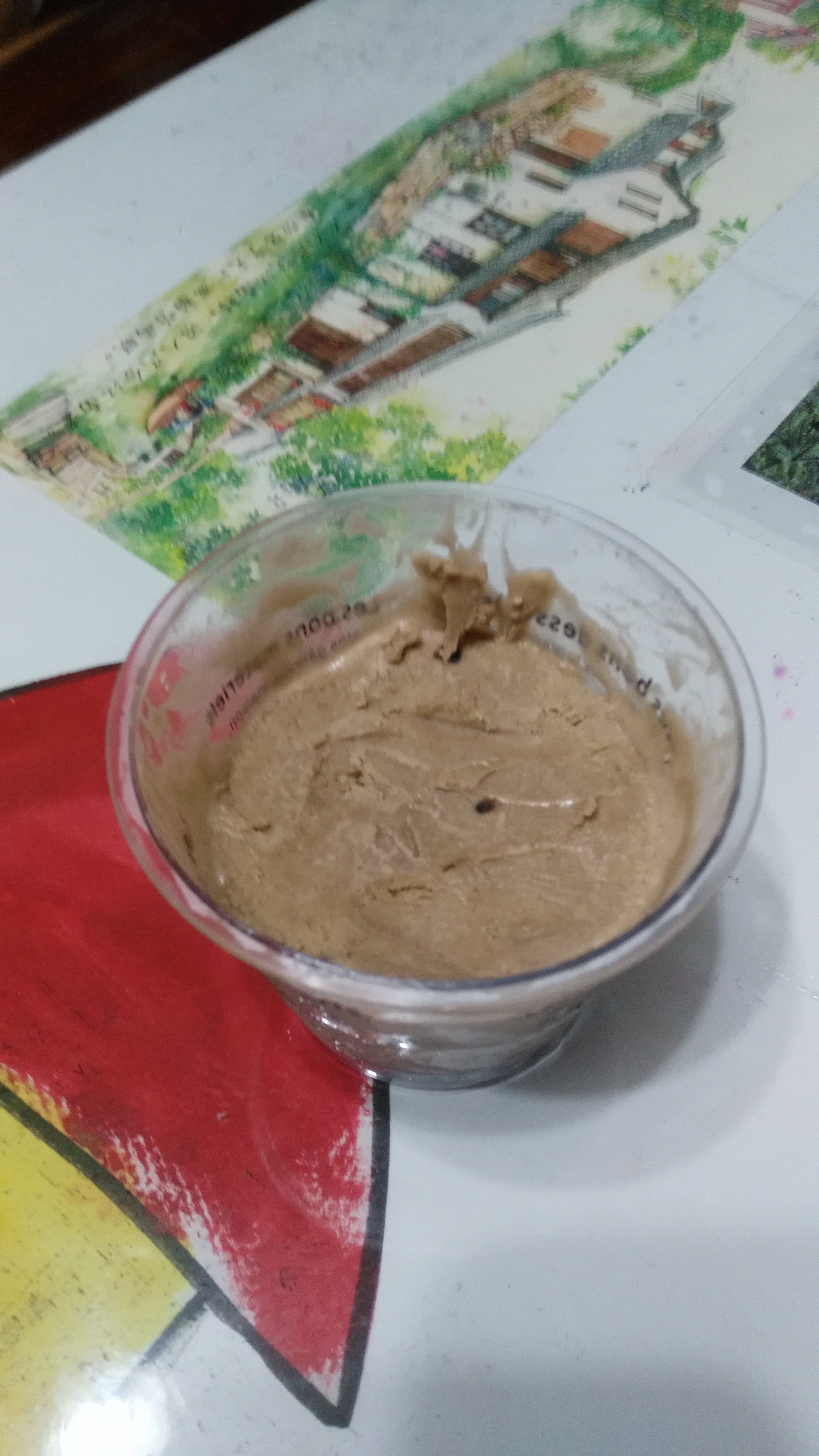 自制哈根达斯风味的冰淇淋