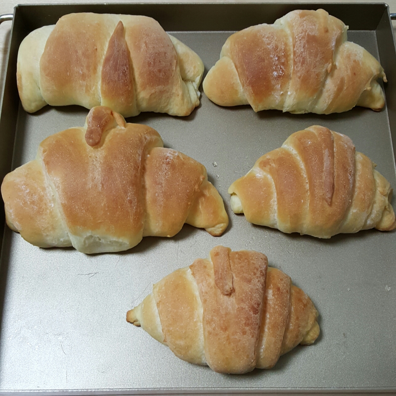 老式油酥面包 Yusu Bread