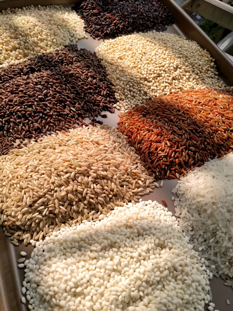 五颜六色的姜炒米的做法